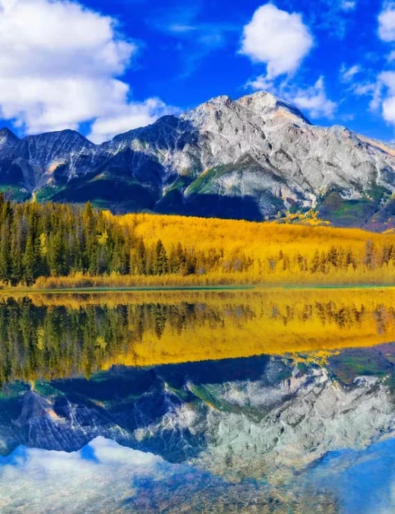 Symmetrical mountain reflection on a crystal clear alpine lake surrounded by yellow autumn aspen trees under a bright blue sky