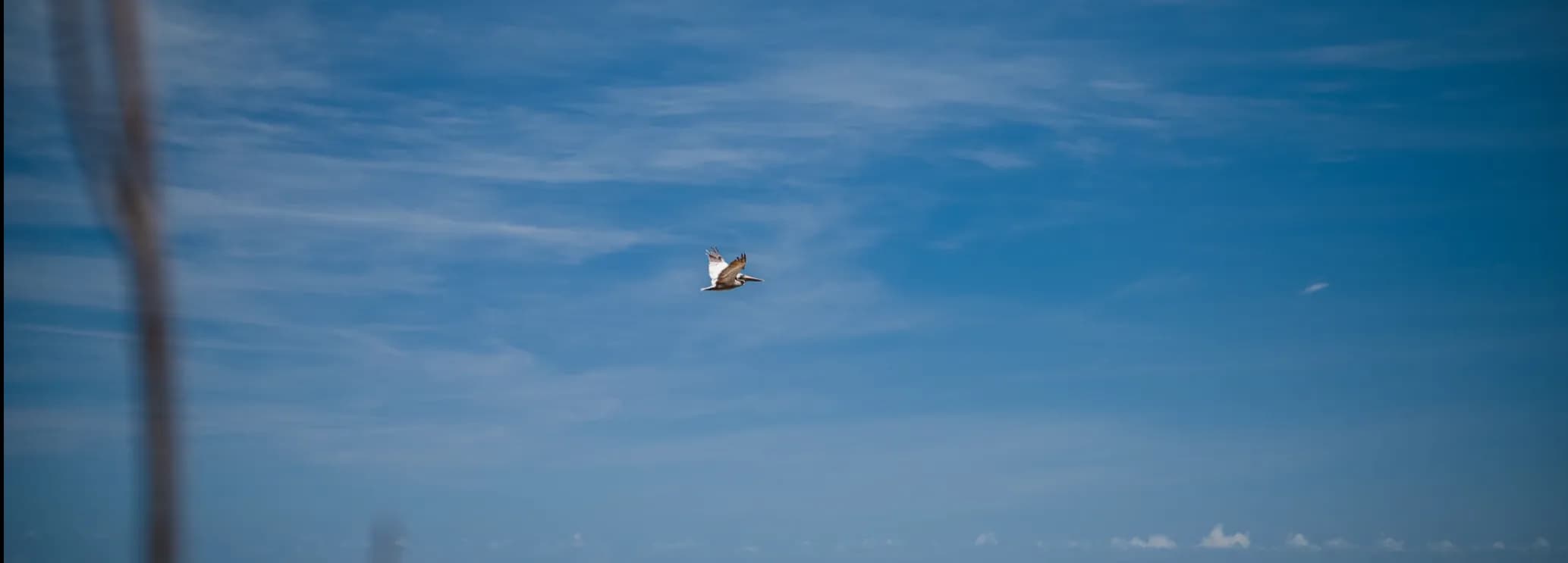 Private jet flying to Aguadilla for direct access to Rincon, west-coast beaches, and Puerto Rico’s Porta del Sol region.