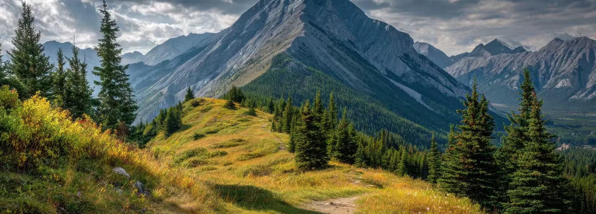 A winding dirt hiking trail over a grassy alpine ridge with evergreen trees and a sharp mountain peak under a dramatic cloudy sky.